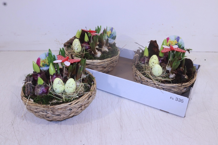 <h4>ARR BOL KNOLGEWAS</h4>