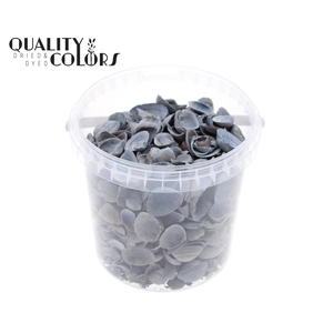 Shells north sea 1 ltr Frosted Blue