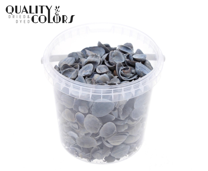 Shells north sea 1 ltr Frosted Blue