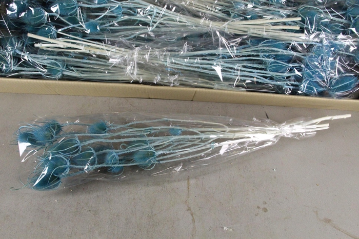 <h4>DF Dipsacus Turquoise Bs 130g</h4>