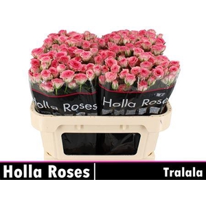 R Tr Tralala