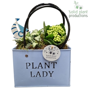 ZKE001 Blue Bag Large