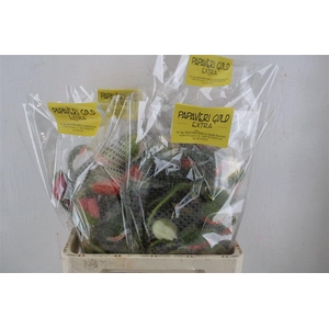 Papaver Mixed Extra P Stem