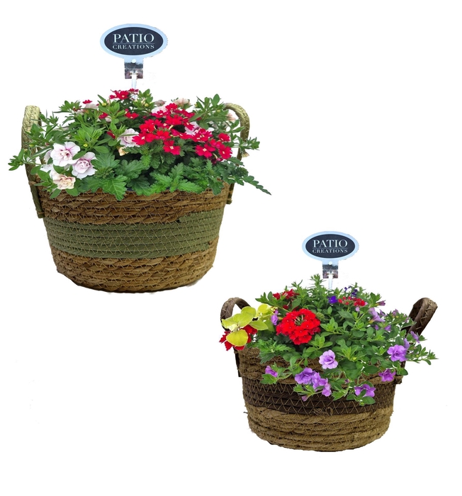 <h4>Arr.   Perkplanten L%</h4>