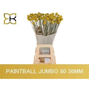 Cras Paintball Jumbo 80cm