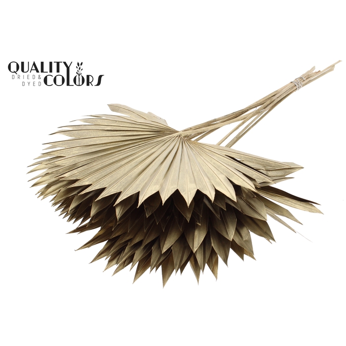<h4>Sun Spear per stem Antique Gold</h4>