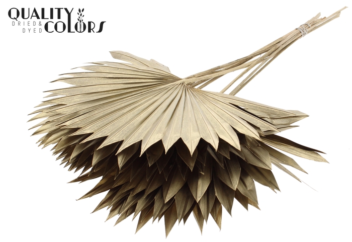Sun Spear per stem Antique Gold
