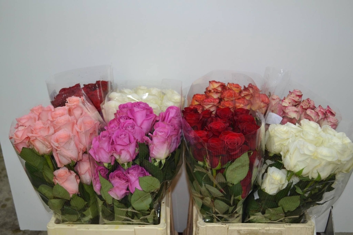 R Gr Gemengd In Fust Ec