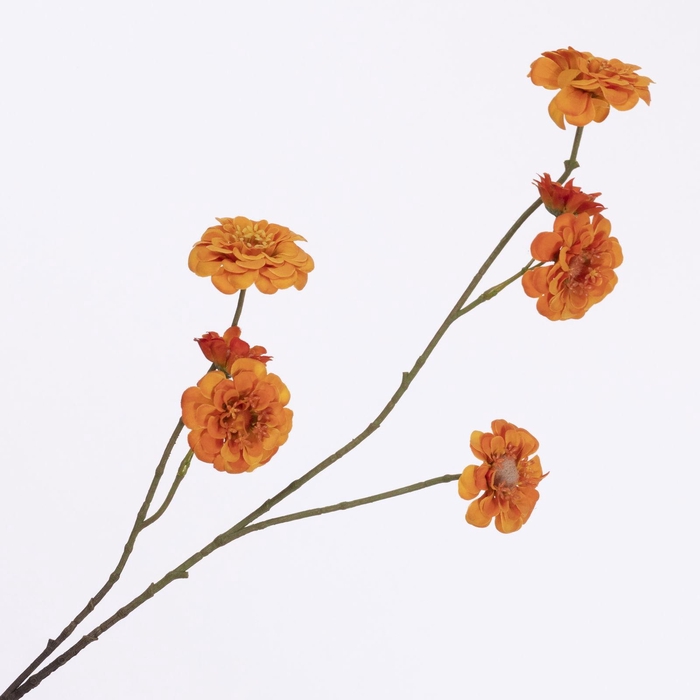 <h4>Zinnia Spray Orange FL440346ORA</h4>