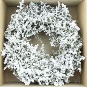 Wreath Asparagus Snow 40cm