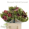 Bouquet Hybrid Carousel