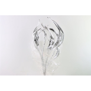 Dried Strelitzia Leaf L Silver Stem Slv