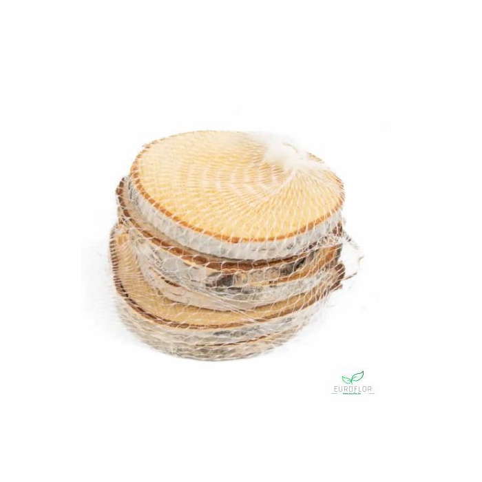 <h4>HOUTSCHIJVEN BERK ROND 10CM NATURAL</h4>