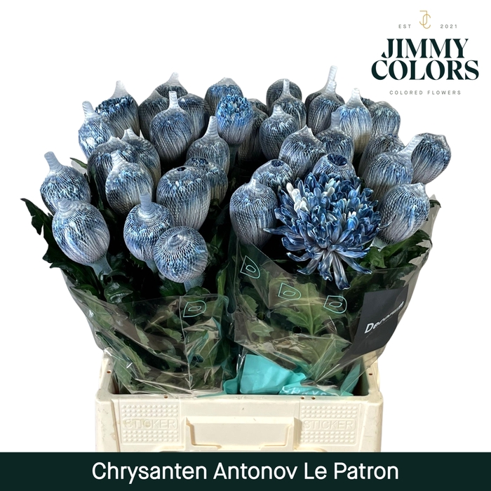 <h4>Chr G Antonov Le Patron</h4>