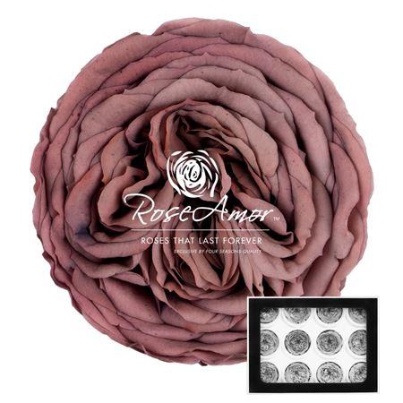 <h4>Amelia Cho89</h4>