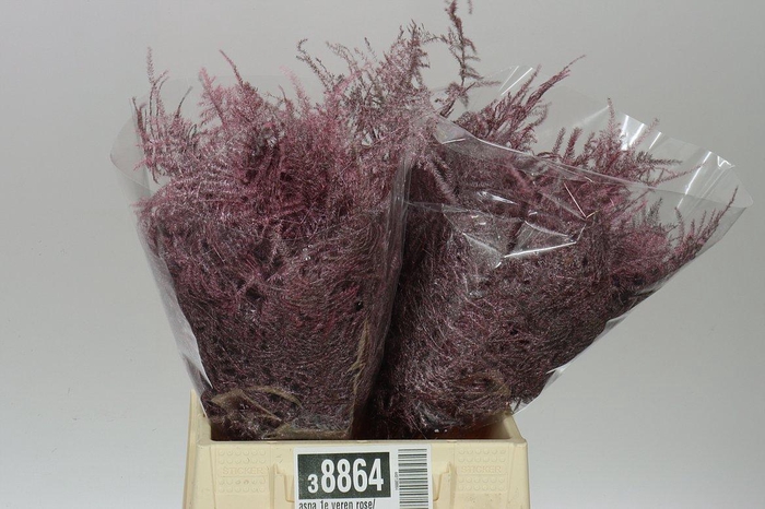 <h4>Aspa 1e Veren Rose/gold X50</h4>