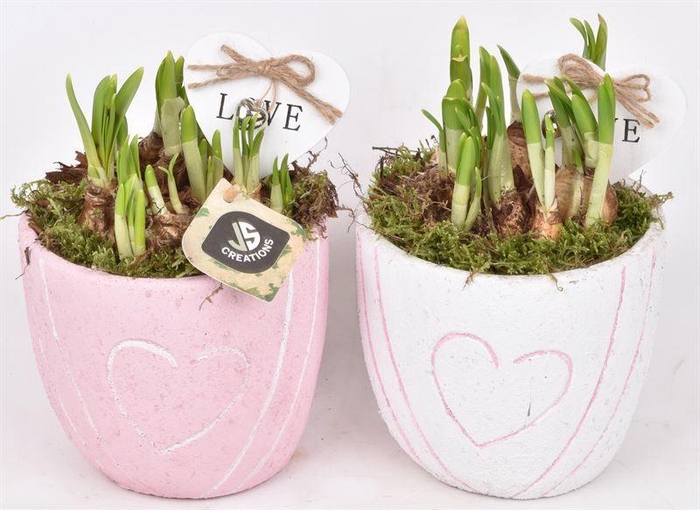 <h4>Cement pot met hart decor mix 14cm</h4>