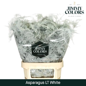 Aspa Lang Getopt + Glitter Wit + Glitter