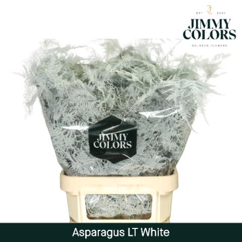 <h4>Aspa Lang Getopt + Glitter Wit + Glitter</h4>