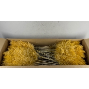DF Pampas 115cm Apricot