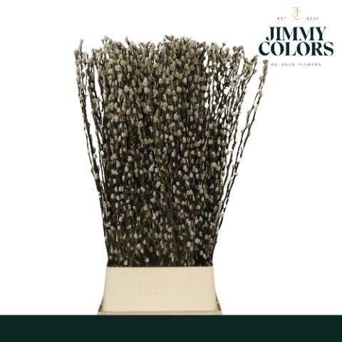 <h4>Salix Katjes L120 Naturel</h4>