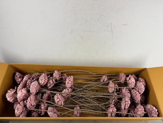 <h4>Stick Shola Artichokeø12 O.pnk</h4>