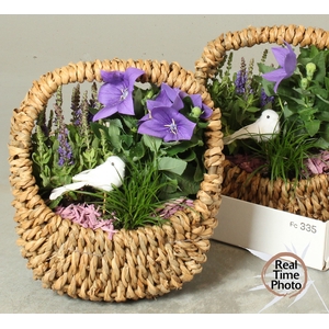 ARR TUINPLANTEN