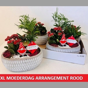 ARR KAMERPL