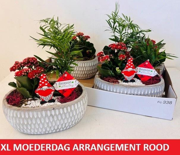 <h4>ARR KAMERPL</h4>