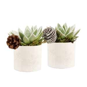 61686: X-mas arrangement