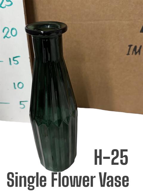 <h4>GLAZEN VAZEN H% SINGLE FLOWER VASE H25</h4>