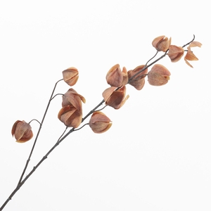 Physalis Spray Orange LV330171ORA