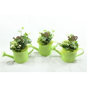 6609 GROENE GIETER