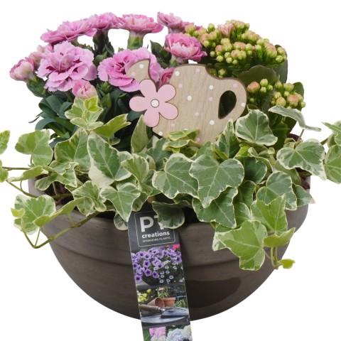 <h4>PTPP6929 Arrangement Patio in terracotta schaal</h4>