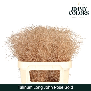 Talinum Long John L80 Rose Goud