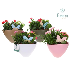 keramiek pot Oval met Arrangement voorjaar