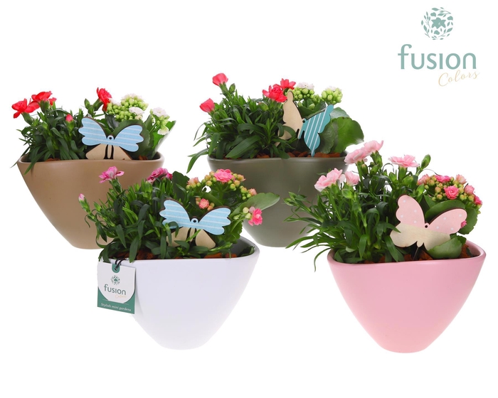 <h4>keramiek pot Oval met Arrangement voorjaar</h4>