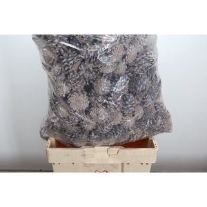 Deco Pinecone Oostenrijker Frosted 10kg