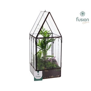 Metaal Geometrisch Huis planter Small met Terrarium arrangement