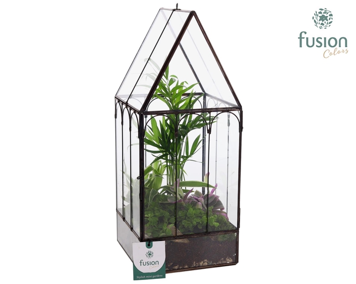 <h4>Metaal Geometrisch Huis planter Small met Terrarium arrangement</h4>