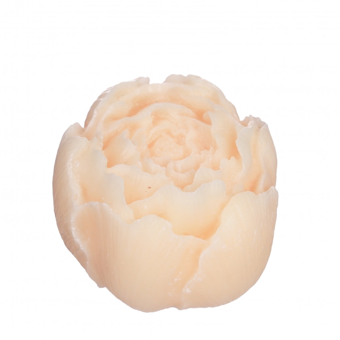 Homedeco Aroma rose Vanilla 6.5* 5.5cm