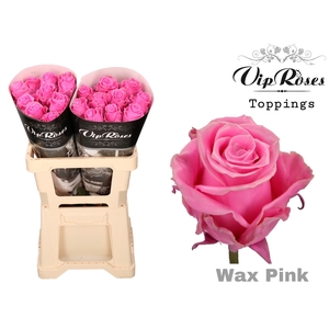 R Gr Wax Pink (60cm)