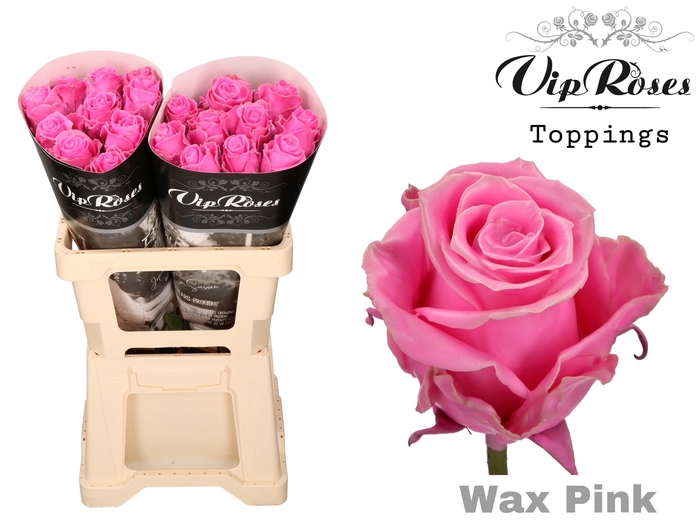 <h4>R Gr Vip Wax Pink X30</h4>