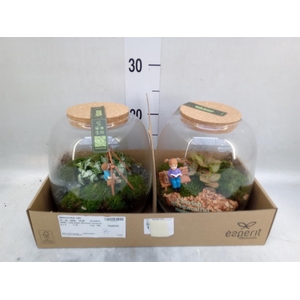 Arr.    Planten  H%