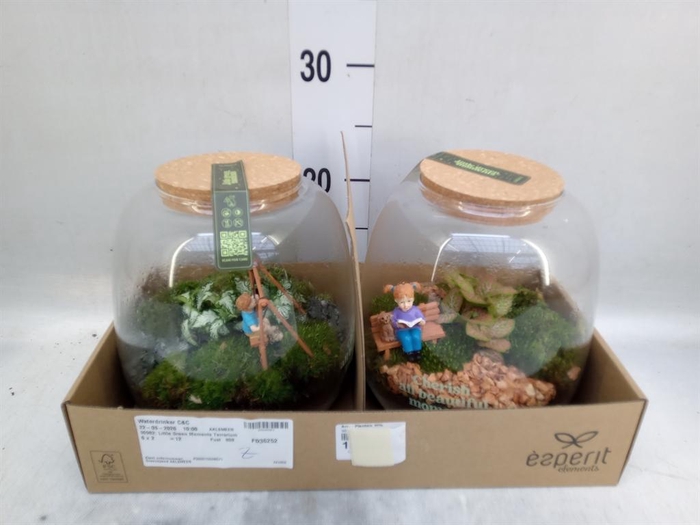 <h4>Arr.    Planten  H%</h4>
