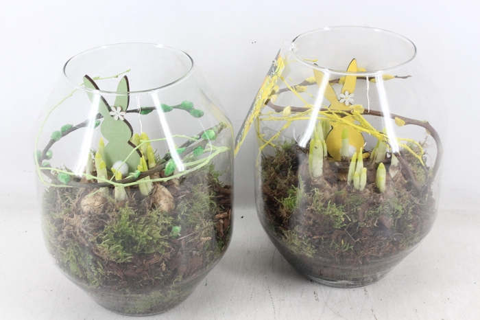 <h4>arr4 Narcis MB - Glas roma 285/6 mix</h4>