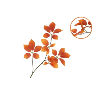 Silk Leaf Elder Orange 81cm