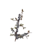 Berry Spray Leaves Blue