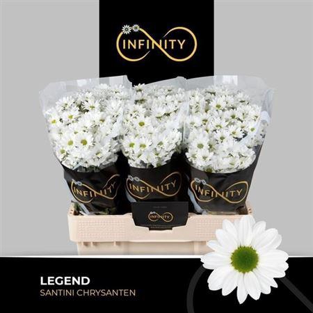 <h4>Chr San Legend</h4>