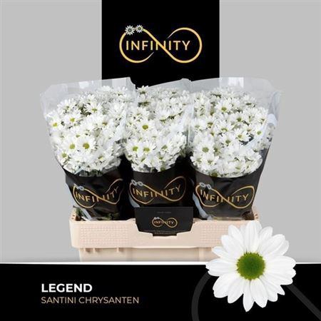 <h4>Chr San Legend</h4>